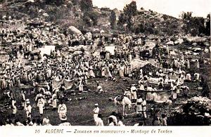 ALGERIE - ZOUAVES - MONTAGE DE TENTES EN MAOEUVRES